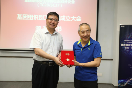中国标准化